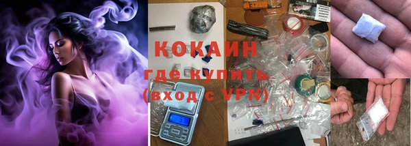 молекула духа Дмитров