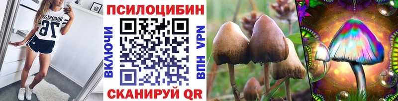 Купить закладки  Ипатово  Галлюциногенные грибы Cubensis 